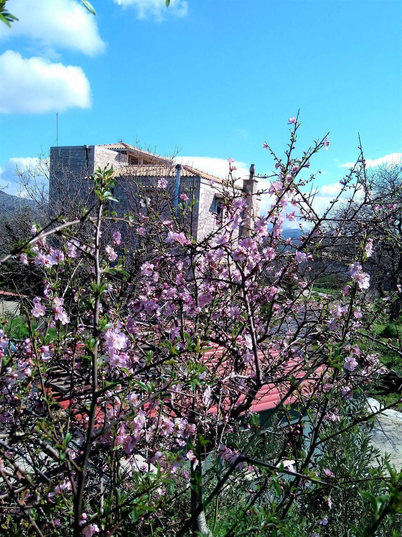 Villa Ermis - The Cretan Castello Kastellos Bagian luar foto